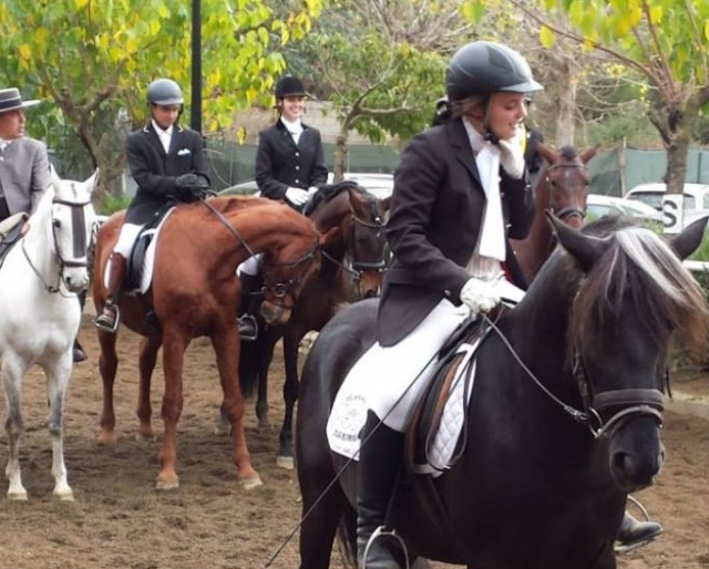 En el concurso de hipica